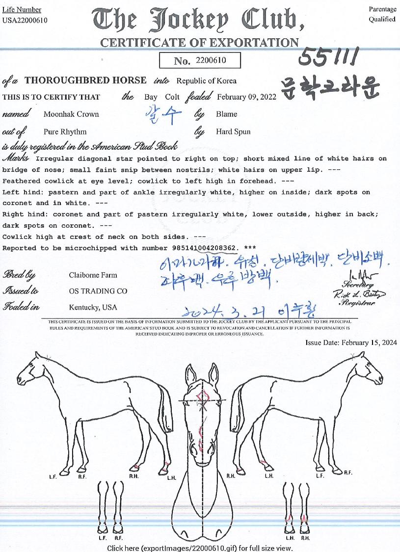 ����ũ����� ����,���,�޸�,�λ�,�ٸ��� Ư¡����