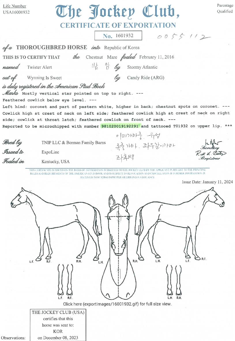 Ʈ�����;�Ʈ�� ����,���,�޸�,�λ�,�ٸ��� Ư¡����