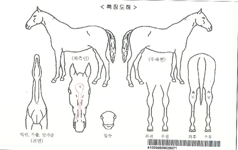 ��ŰȦ�������ڸ��� ����,���,�޸�,�λ�,�ٸ��� Ư¡����