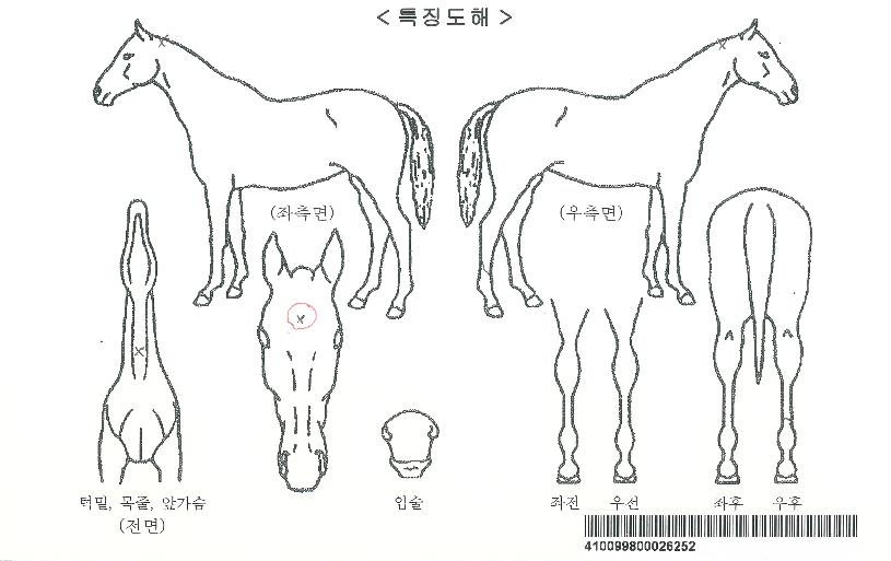 �������ڸ��� ����,���,�޸�,�λ�,�ٸ��� Ư¡����