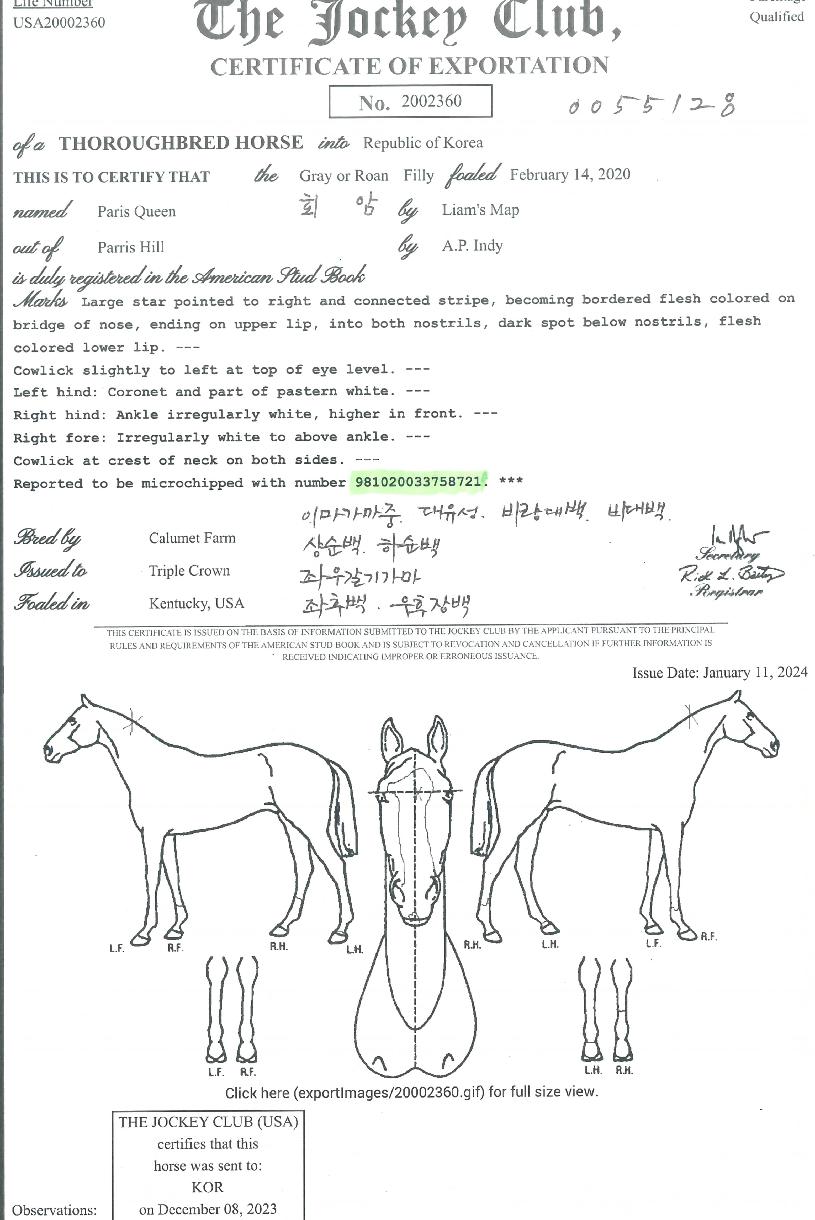 ÆÐ¸®½ºÄý¥±ÀÇ Ãø¸é,¿ì¸é,µÞ¸é,µÎ»ó,´Ù¸®ÀÇ Æ¯Â¡µµÇØ