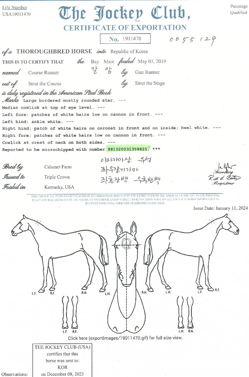 ÄÚ½º·¯³ÊÀÇ Ãø¸é,¿ì¸é,µÞ¸é,µÎ»ó,´Ù¸®ÀÇ Æ¯Â¡µµÇØ