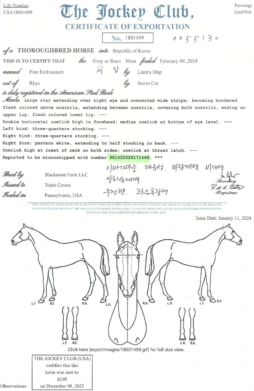 ÆÄÀÎÀμöÁö¾ÖÁòÀÇ Ãø¸é,¿ì¸é,µÞ¸é,µÎ»ó,´Ù¸®ÀÇ Æ¯Â¡µµÇØ