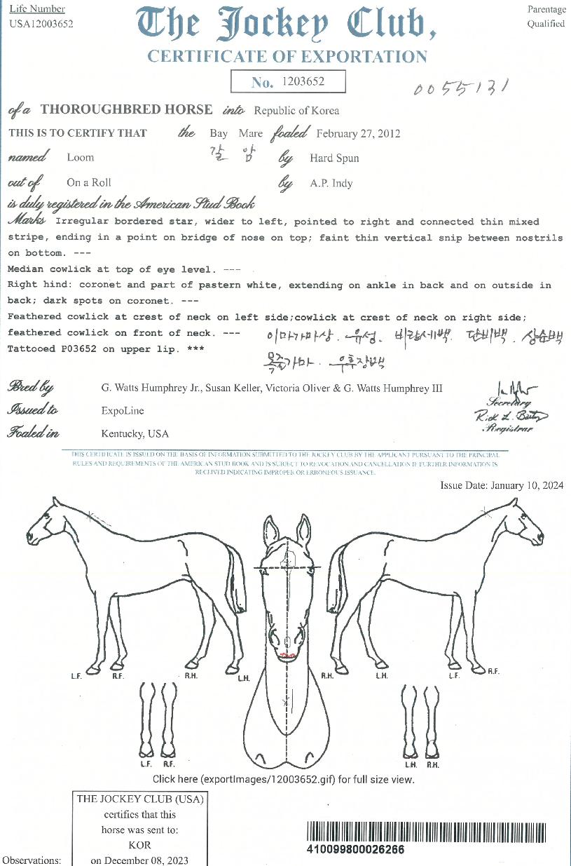 ·ç¿òÀÇ Ãø¸é,¿ì¸é,µÞ¸é,µÎ»ó,´Ù¸®ÀÇ Æ¯Â¡µµÇØ