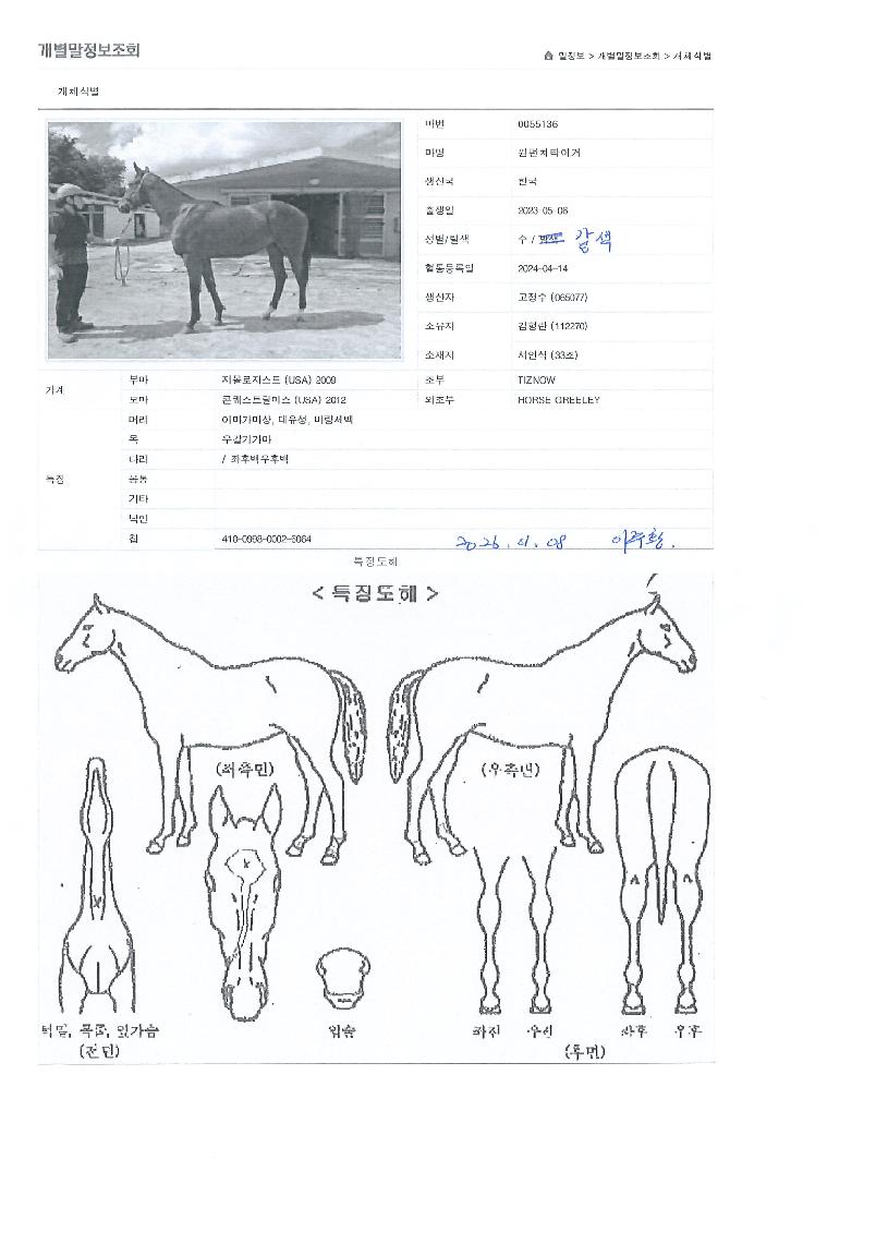 ����ġŸ�̰��� ����,���,�޸�,�λ�,�ٸ��� Ư¡����