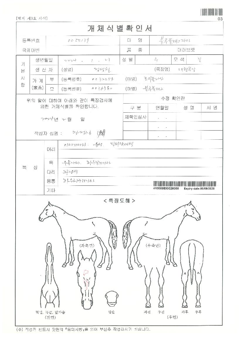 ºí·çÇ÷¡±×ÀÚ¸¶ÀÇ Ãø¸é,¿ì¸é,µÞ¸é,µÎ»ó,´Ù¸®ÀÇ Æ¯Â¡µµÇØ