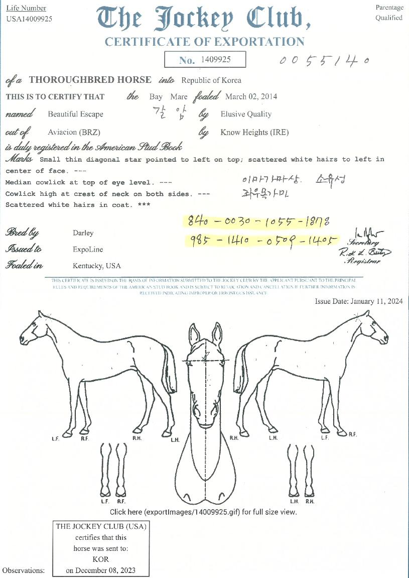 ºäƼǮÀ̽ºÄÉÀÌÇÁÀÇ Ãø¸é,¿ì¸é,µÞ¸é,µÎ»ó,´Ù¸®ÀÇ Æ¯Â¡µµÇØ