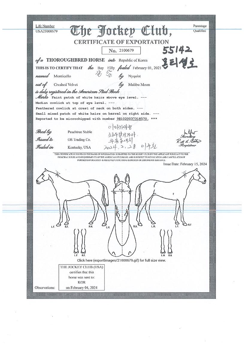 ¸óƼ¼¿·ÎÀÇ Ãø¸é,¿ì¸é,µÞ¸é,µÎ»ó,´Ù¸®ÀÇ Æ¯Â¡µµÇØ