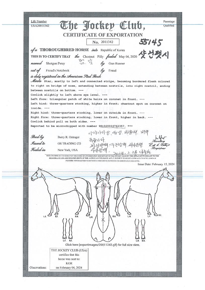 ¼¦°ÇÆÖ½ÃÀÇ Ãø¸é,¿ì¸é,µÞ¸é,µÎ»ó,´Ù¸®ÀÇ Æ¯Â¡µµÇØ