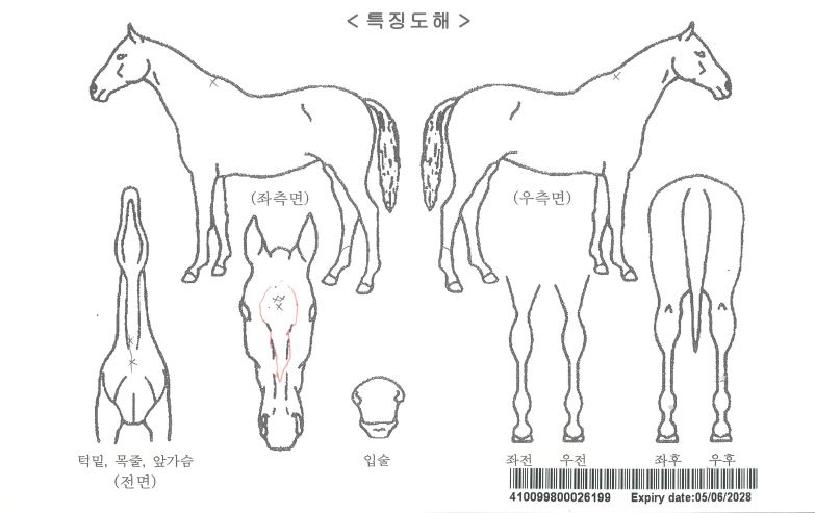 ��η����ڸ��� ����,���,�޸�,�λ�,�ٸ��� Ư¡����