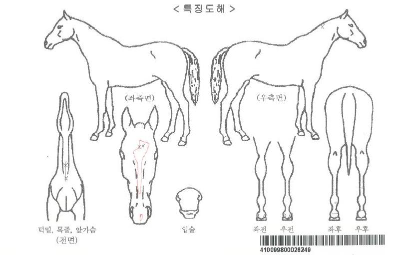 �������̺��� ����,���,�޸�,�λ�,�ٸ��� Ư¡����