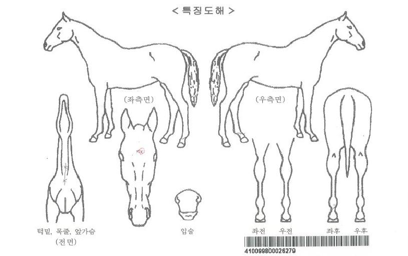 Ȧ���׷����� ����,���,�޸�,�λ�,�ٸ��� Ư¡����