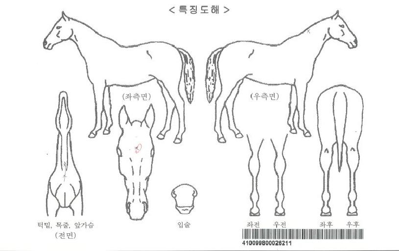 �����¡���������ڸ��� ����,���,�޸�,�λ�,�ٸ��� Ư¡����