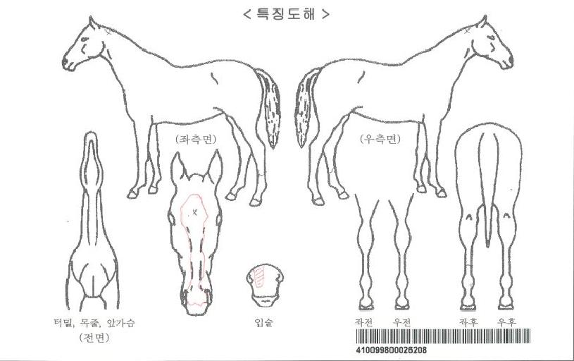 ���������� ����,���,�޸�,�λ�,�ٸ��� Ư¡����