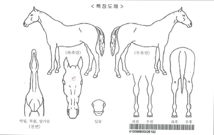 ÇÁ¶ó¿ìµé¸®À§ÇØÀÏÀÚ¸¶ÀÇ Ãø¸é,¿ì¸é,µÞ¸é,µÎ»ó,´Ù¸®ÀÇ Æ¯Â¡µµÇØ