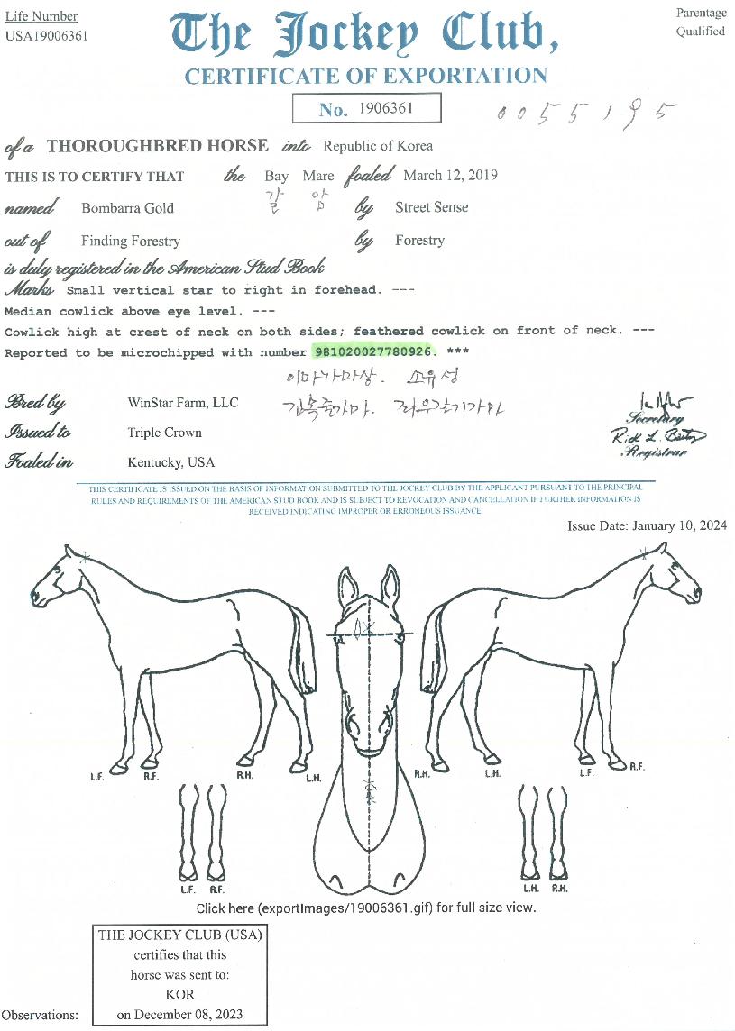 º½¹Ù¶ó°ñµåÀÇ Ãø¸é,¿ì¸é,µÞ¸é,µÎ»ó,´Ù¸®ÀÇ Æ¯Â¡µµÇØ