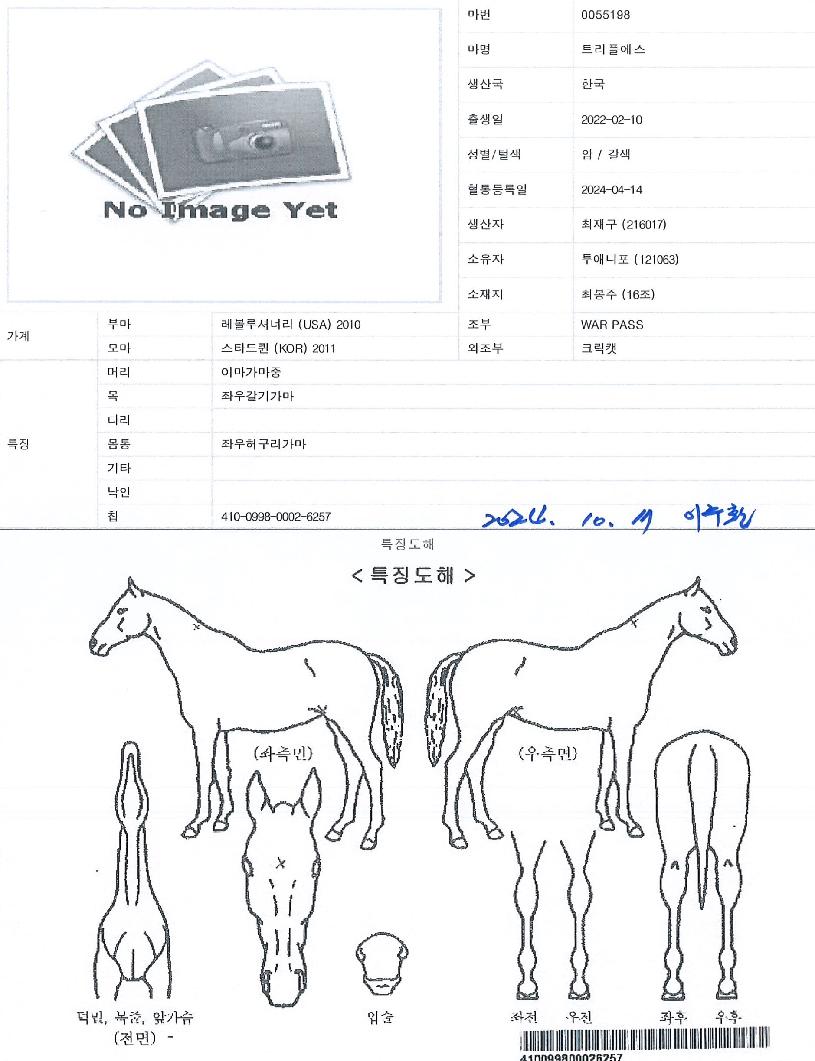 Æ®¸®Çÿ¡½ºÀÇ Ãø¸é,¿ì¸é,µÞ¸é,µÎ»ó,´Ù¸®ÀÇ Æ¯Â¡µµÇØ
