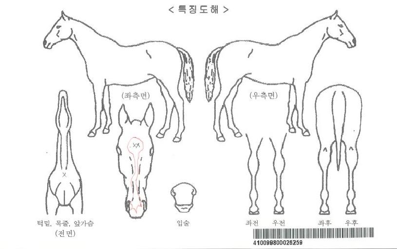 ¿ïÇÁ¾ÆÀÌÀÚ¸¶ÀÇ Ãø¸é,¿ì¸é,µÞ¸é,µÎ»ó,´Ù¸®ÀÇ Æ¯Â¡µµÇØ