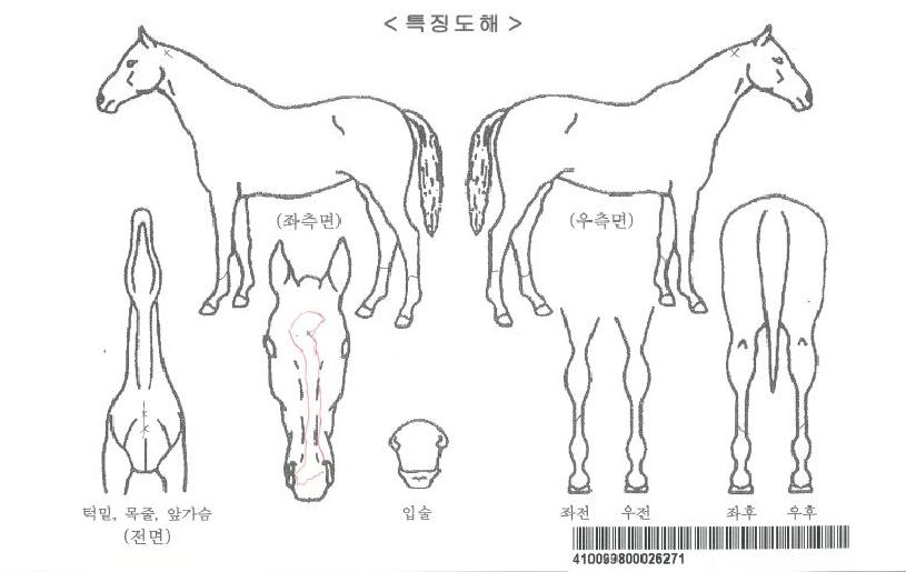 ÇÁ¸®Æ®Àα׶õÀÚ¸¶ÀÇ Ãø¸é,¿ì¸é,µÞ¸é,µÎ»ó,´Ù¸®ÀÇ Æ¯Â¡µµÇØ