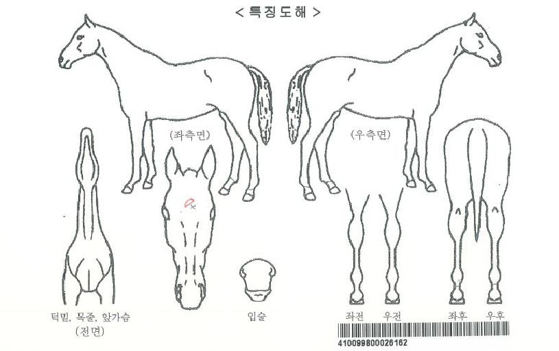 �Ƹ޸�ĭ���ڸ��� ����,���,�޸�,�λ�,�ٸ��� Ư¡����