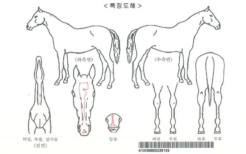 ���۸��̼ǹ��̽��ڸ��� ����,���,�޸�,�λ�,�ٸ��� Ư¡����