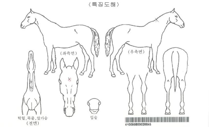 �����Ŀ��� ����,���,�޸�,�λ�,�ٸ��� Ư¡����