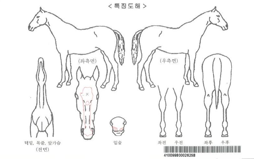 ŷ�������̵��ڸ��� ����,���,�޸�,�λ�,�ٸ��� Ư¡����