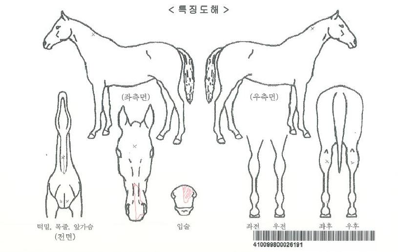 �ǹ����Ǵ��ڸ��� ����,���,�޸�,�λ�,�ٸ��� Ư¡����