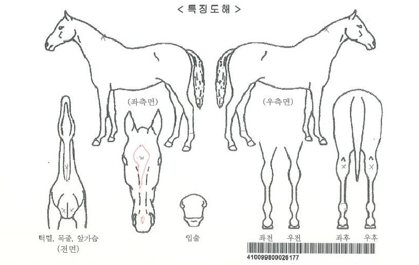 �����ũ���ڸ��� ����,���,�޸�,�λ�,�ٸ��� Ư¡����