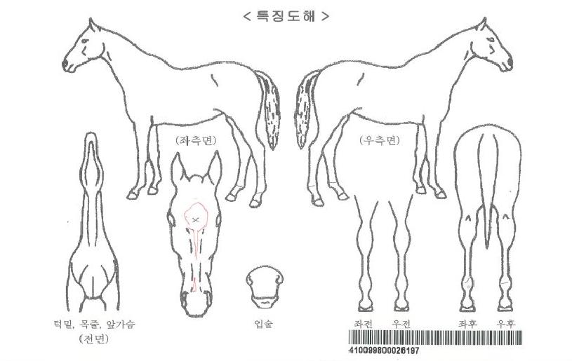 ����Ǻ��ڸ��� ����,���,�޸�,�λ�,�ٸ��� Ư¡����