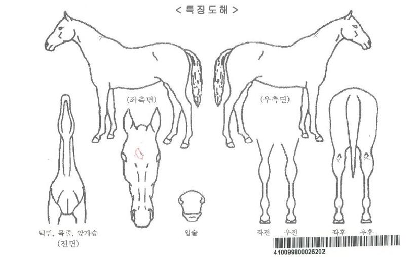 ����Ʈ�����ڸ��� ����,���,�޸�,�λ�,�ٸ��� Ư¡����