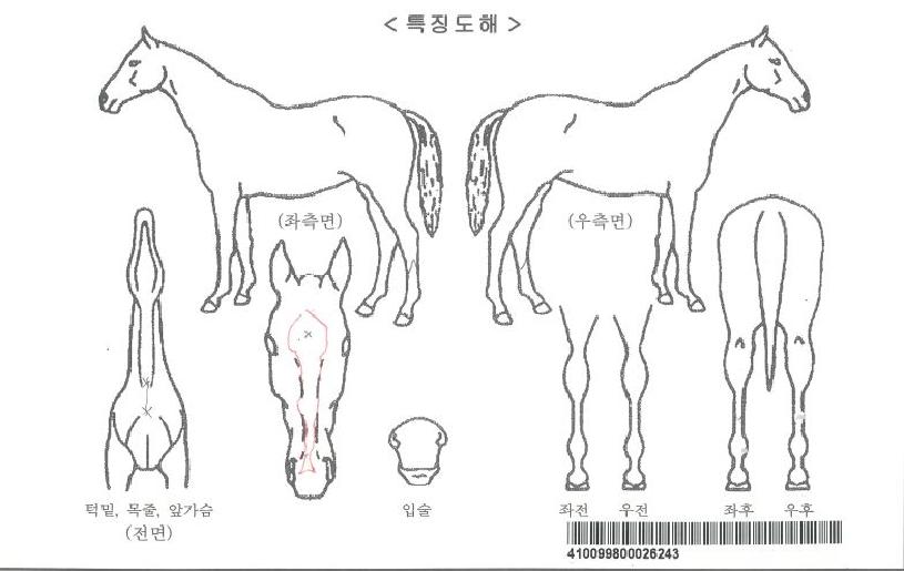 ��������ڸ��� ����,���,�޸�,�λ�,�ٸ��� Ư¡����