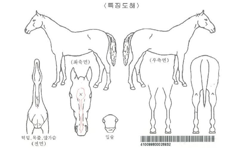 À¯´Ï¾ðÄýÀÚ¸¶ÀÇ Ãø¸é,¿ì¸é,µÞ¸é,µÎ»ó,´Ù¸®ÀÇ Æ¯Â¡µµÇØ