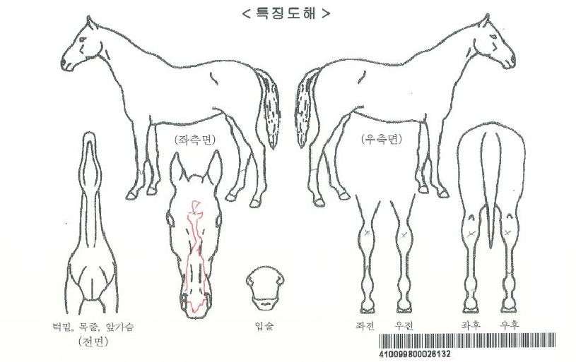 ���ƽý����� ����,���,�޸�,�λ�,�ٸ��� Ư¡����