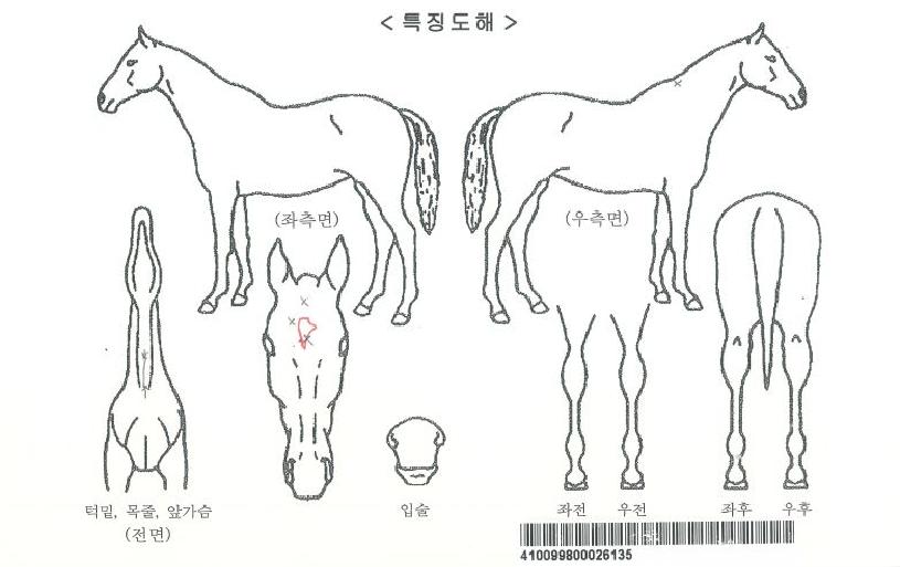 ���������� ����,���,�޸�,�λ�,�ٸ��� Ư¡����