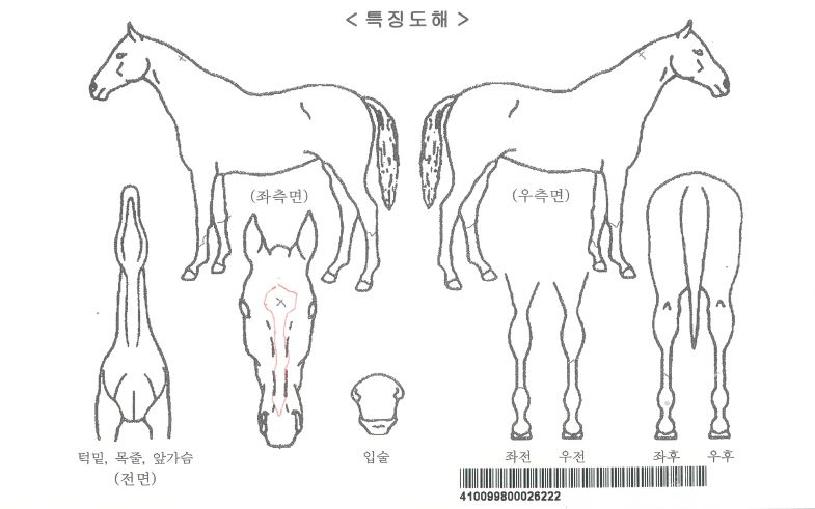 ��ϸ��ڸ��� ����,���,�޸�,�λ�,�ٸ��� Ư¡����