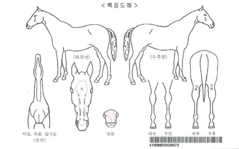 ĳ�������ڸ��� ����,���,�޸�,�λ�,�ٸ��� Ư¡����