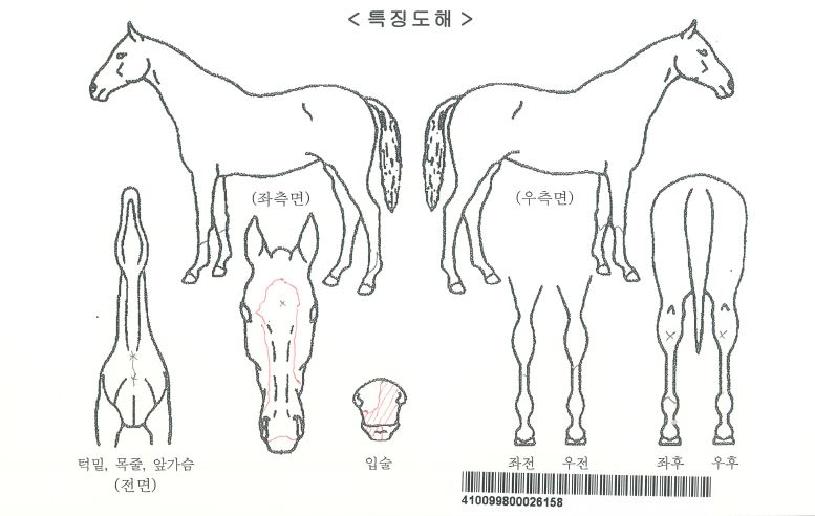 �������ڸ��� ����,���,�޸�,�λ�,�ٸ��� Ư¡����