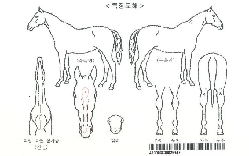  �������Ʈ�� ����,���,�޸�,�λ�,�ٸ��� Ư¡����