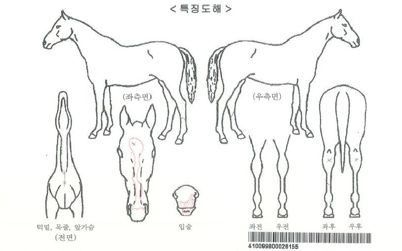 ���̽������ڸ��� ����,���,�޸�,�λ�,�ٸ��� Ư¡����