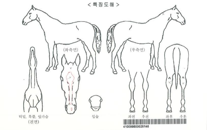 ¸¶ÀÌÆ¼¹Ä¶õÀÇ Ãø¸é,¿ì¸é,µÞ¸é,µÎ»ó,´Ù¸®ÀÇ Æ¯Â¡µµÇØ