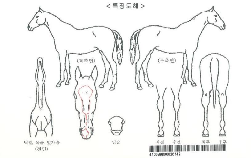 �ϴð����ڸ��� ����,���,�޸�,�λ�,�ٸ��� Ư¡����