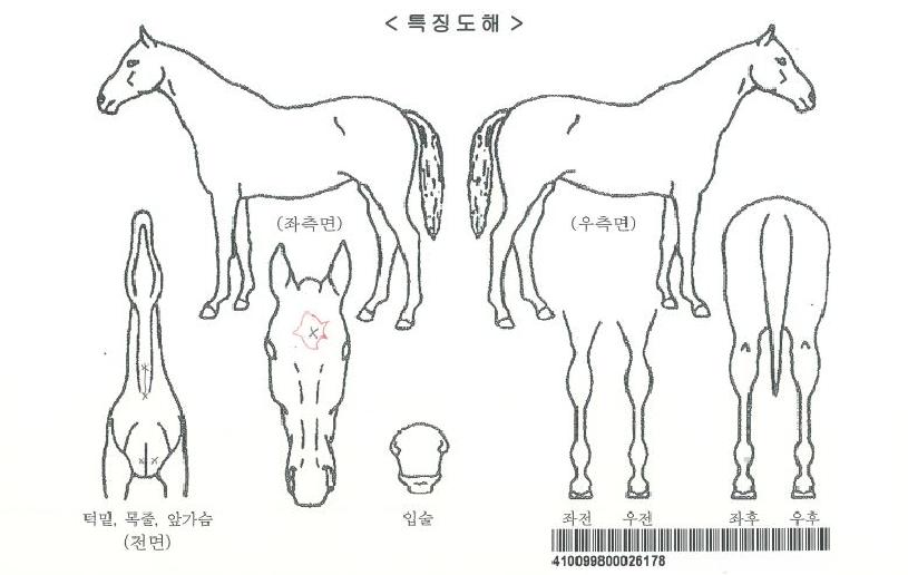 ��Ŭ���������� ����,���,�޸�,�λ�,�ٸ��� Ư¡����