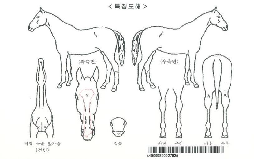 ��ī��Ʈ�����ڸ��� ����,���,�޸�,�λ�,�ٸ��� Ư¡����