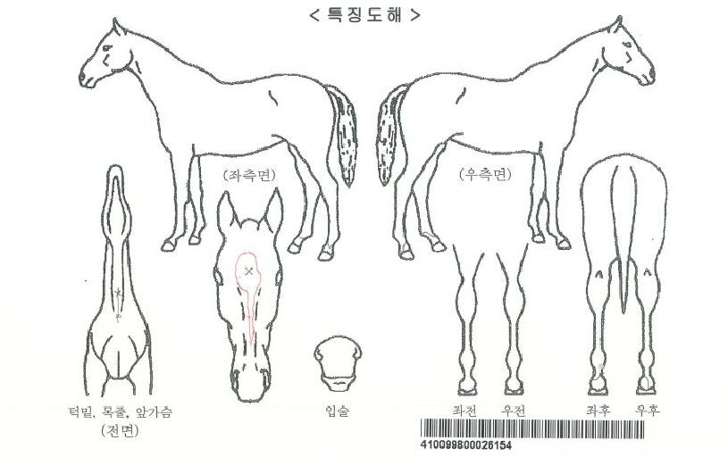 �����ڸ��� ����,���,�޸�,�λ�,�ٸ��� Ư¡����