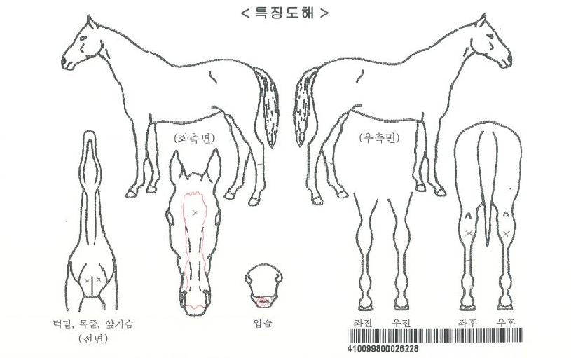 ������ũ�ڸ��� ����,���,�޸�,�λ�,�ٸ��� Ư¡����