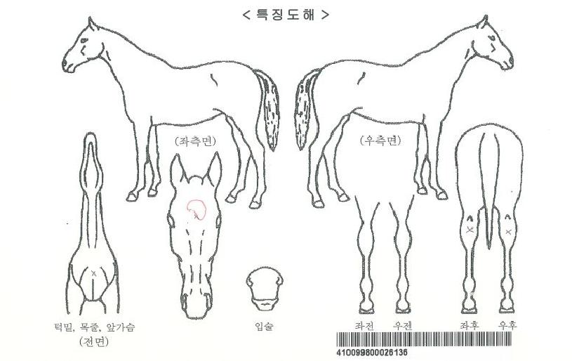 ƼÇÎÆ÷ÀÎÆ®ÀÇ Ãø¸é,¿ì¸é,µÞ¸é,µÎ»ó,´Ù¸®ÀÇ Æ¯Â¡µµÇØ