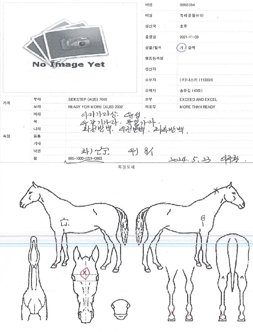 Ãà¹è¸¦µé¾î¶óÀÇ Ãø¸é,¿ì¸é,µÞ¸é,µÎ»ó,´Ù¸®ÀÇ Æ¯Â¡µµÇØ