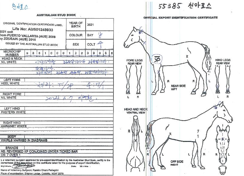 õ�������� ����,���,�޸�,�λ�,�ٸ��� Ư¡����