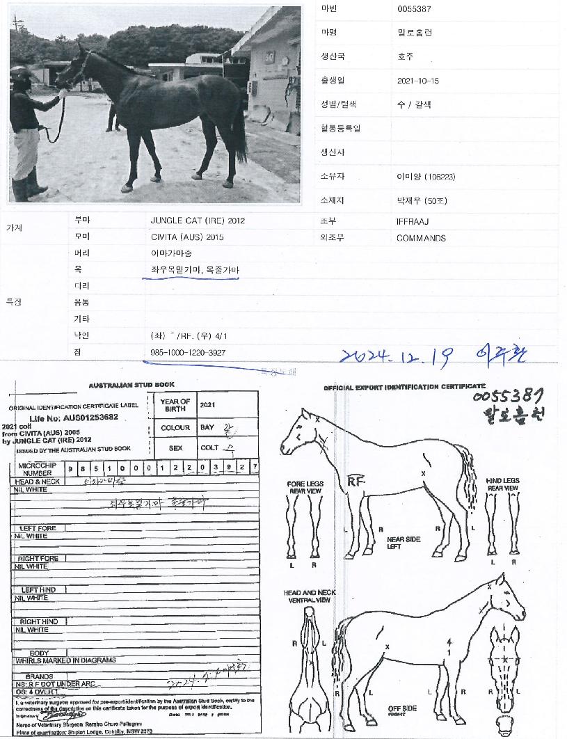 ¸»·ÎȨ·±ÀÇ Ãø¸é,¿ì¸é,µÞ¸é,µÎ»ó,´Ù¸®ÀÇ Æ¯Â¡µµÇØ